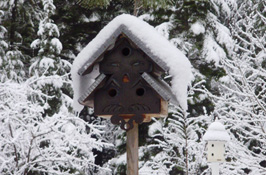 The Coop Cabin Bird House