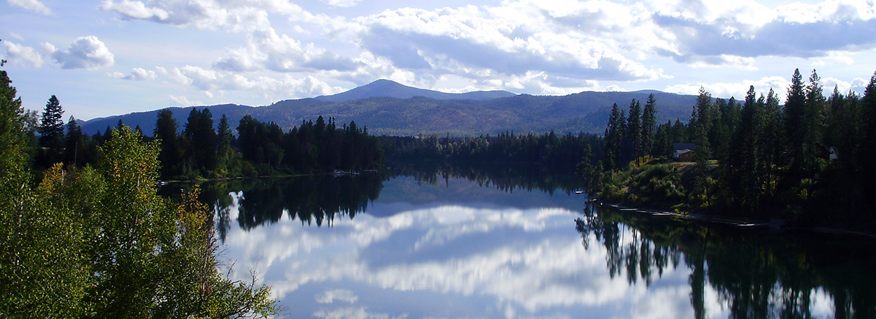 Cabin Lake View